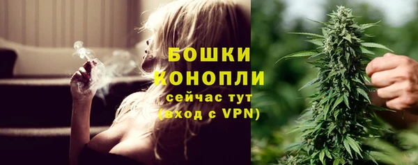 стаф Аркадак