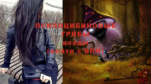 стаф Аркадак